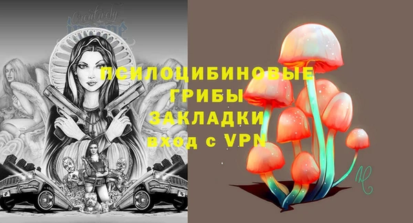скорость Арсеньев