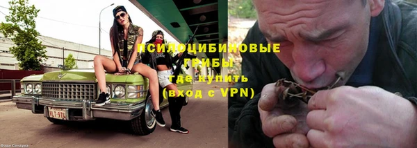 a pvp Аркадак
