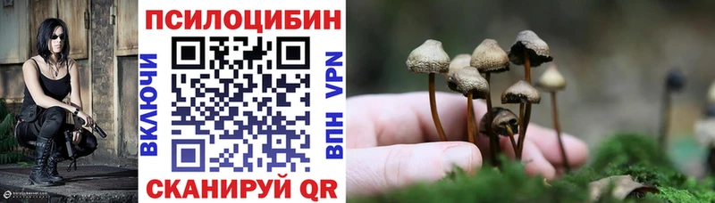 Псилоцибиновые грибы мухоморы  купить наркотики цена  мега рабочий сайт  Крым 